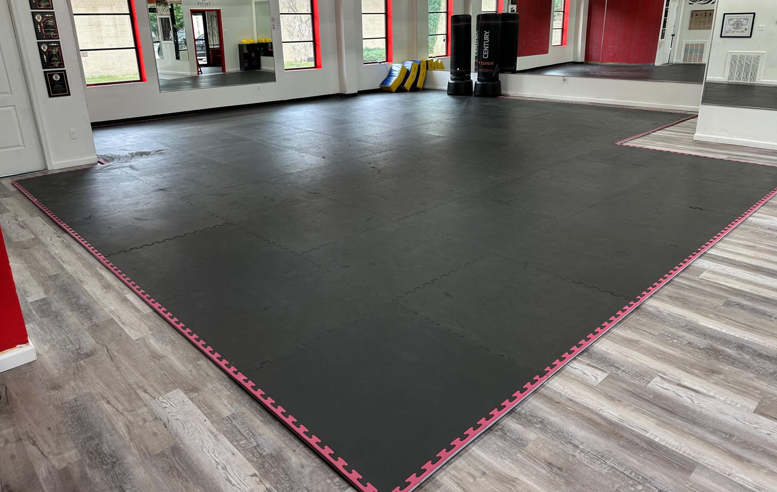 The Burning Tree MMA training mat with mirrors, awards, and gym equipment in the background